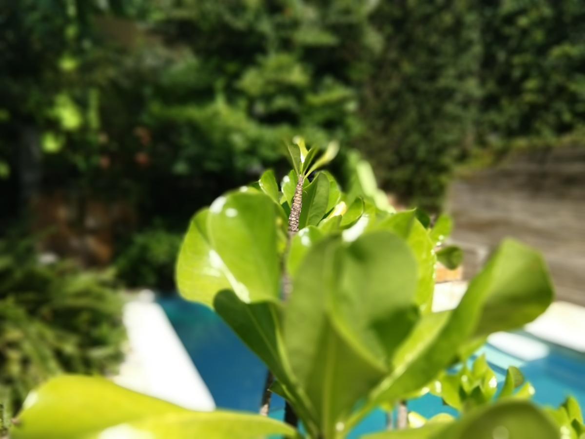 Aparthotel Bamboo Flat Natal Zewnętrze zdjęcie